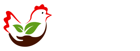 B体育